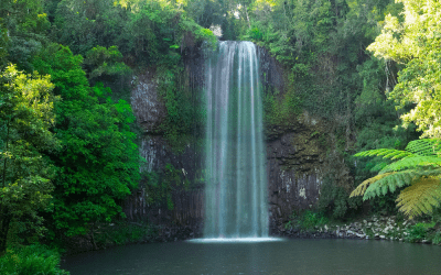 Discover Your Trail campaign launched for Atherton Tablelands